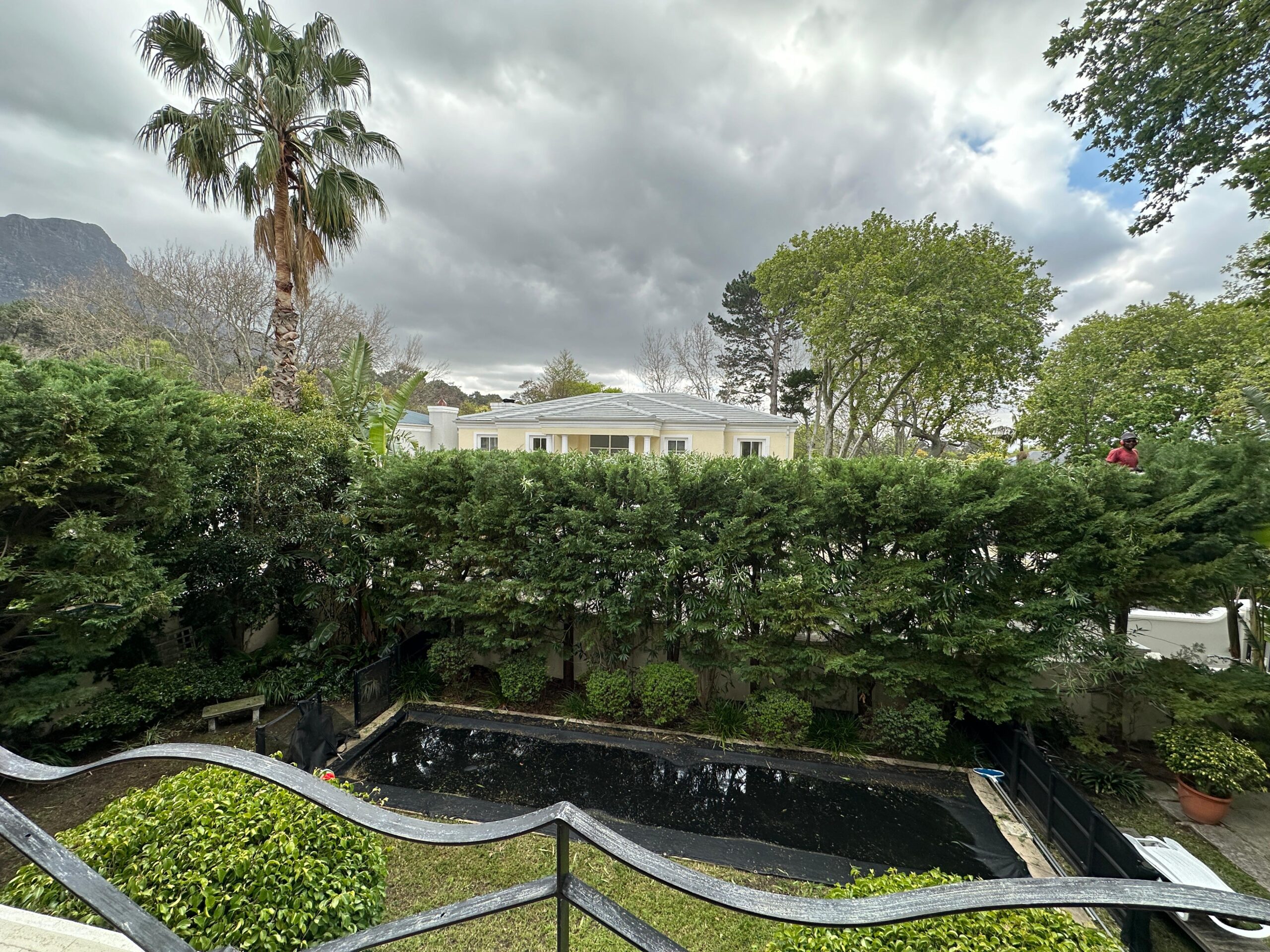 Storm Cleanup service by Trees By Beans in Cape Town