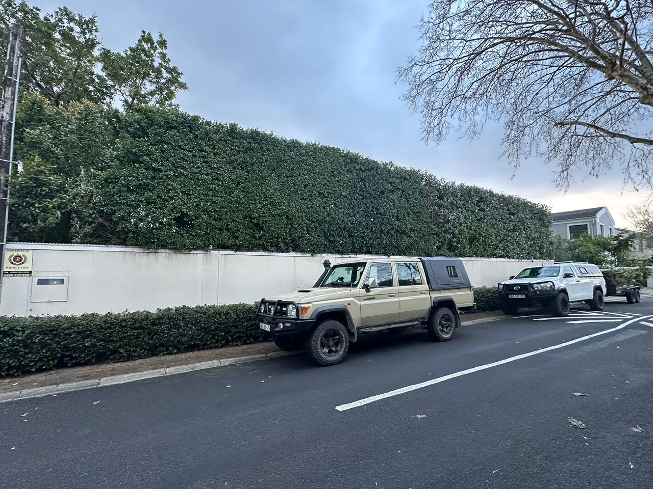 Hedge Trimming service by Trees By Beans in Cape Town