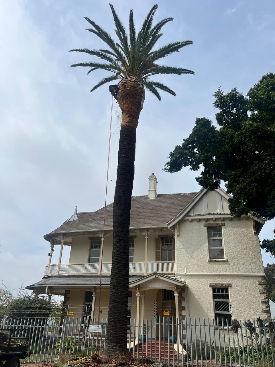 Site & Bush Clearing service by Trees By Beans in Cape Town